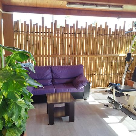 פלאייה דל אינגלז Bungalows Los Almendros - Exclusive Vacation Club מראה חיצוני תמונה