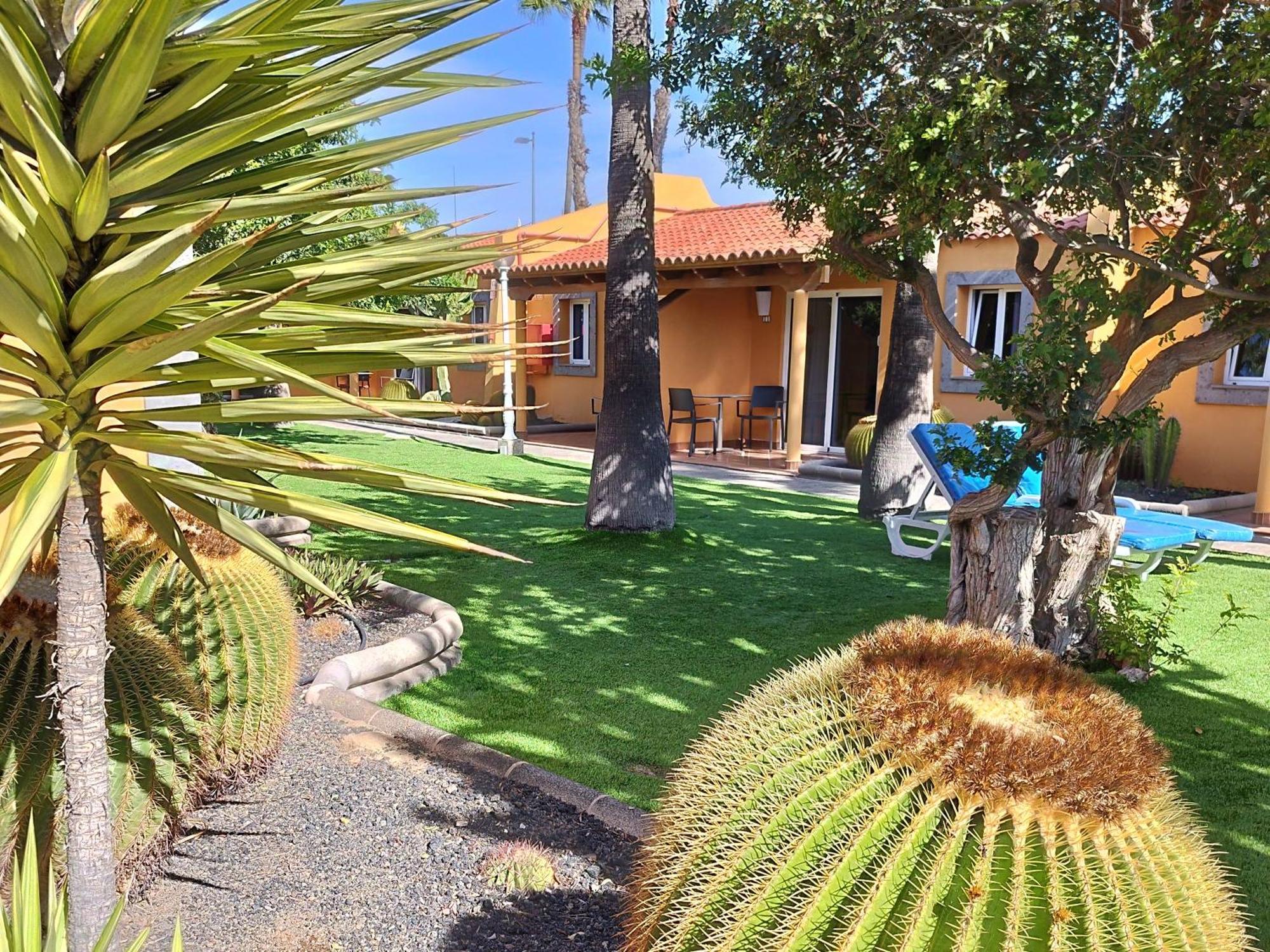 פלאייה דל אינגלז Bungalows Los Almendros - Exclusive Vacation Club מראה חיצוני תמונה